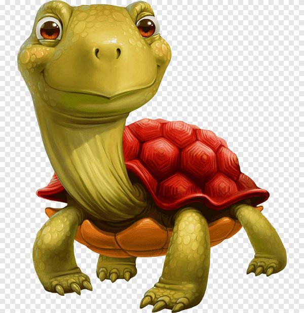 мультяшные черепахи