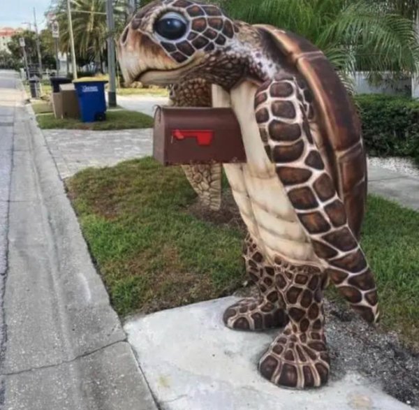 черепахи на бали