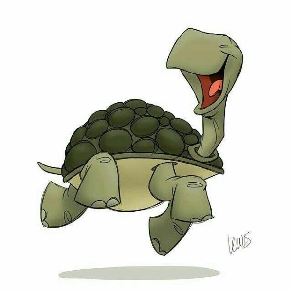 happy turtle