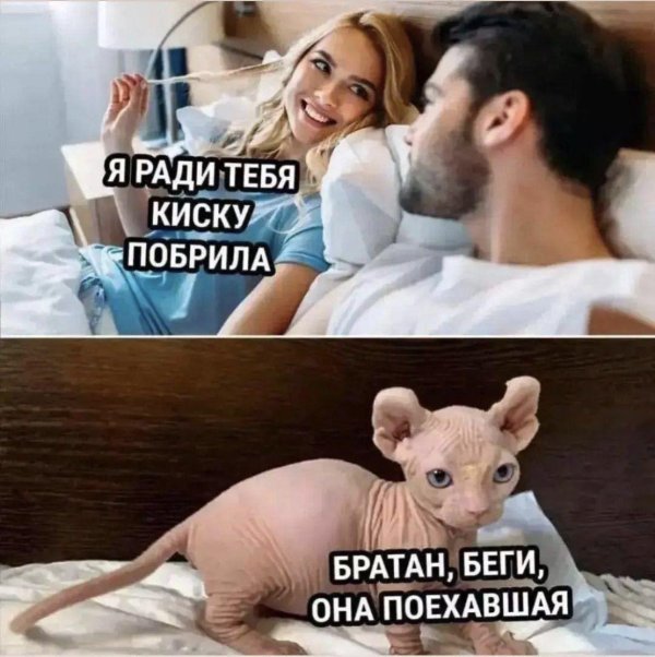 побрила киску