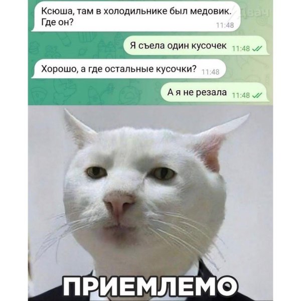 смешные новости