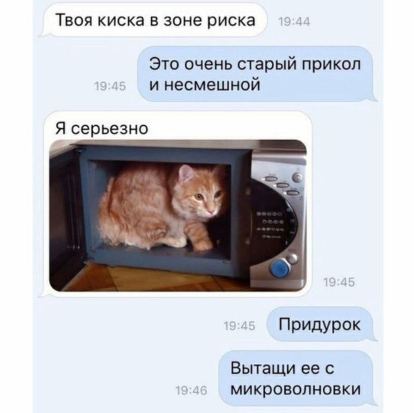 киска прикол