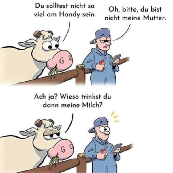 шутки про коров