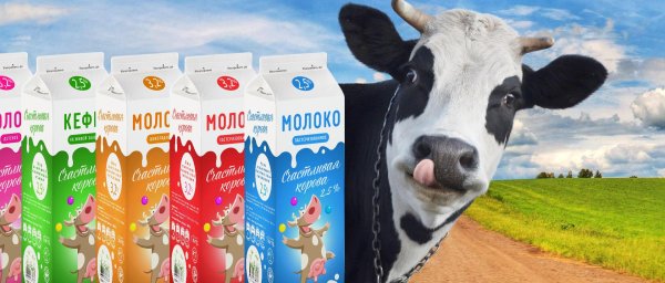 молочная продукция