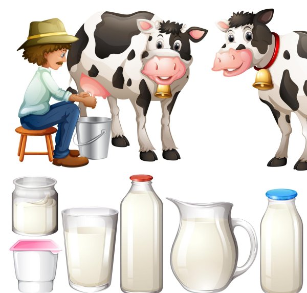 доит корову