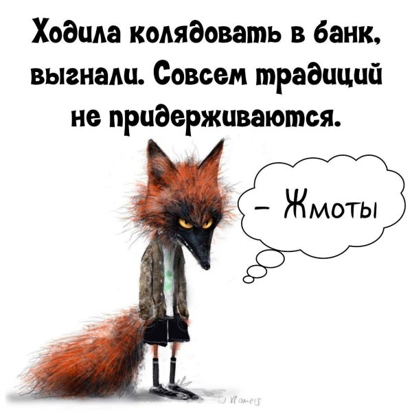 прикольная лиса