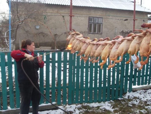 убойные демотиваторы