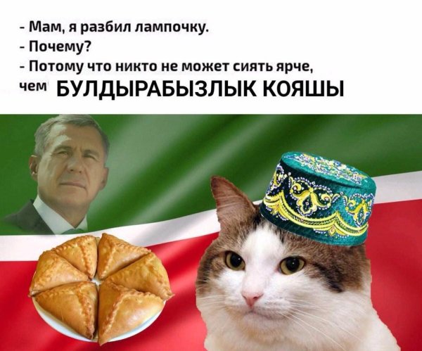 татарский кот