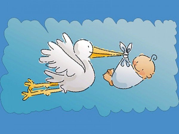 аист с ребенком