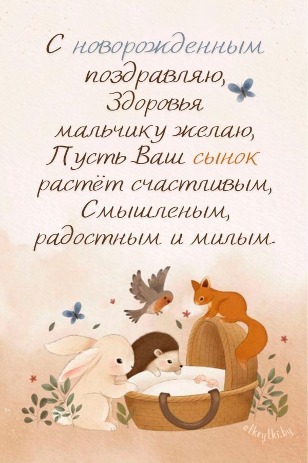с новорожденным мальчиком поздравление