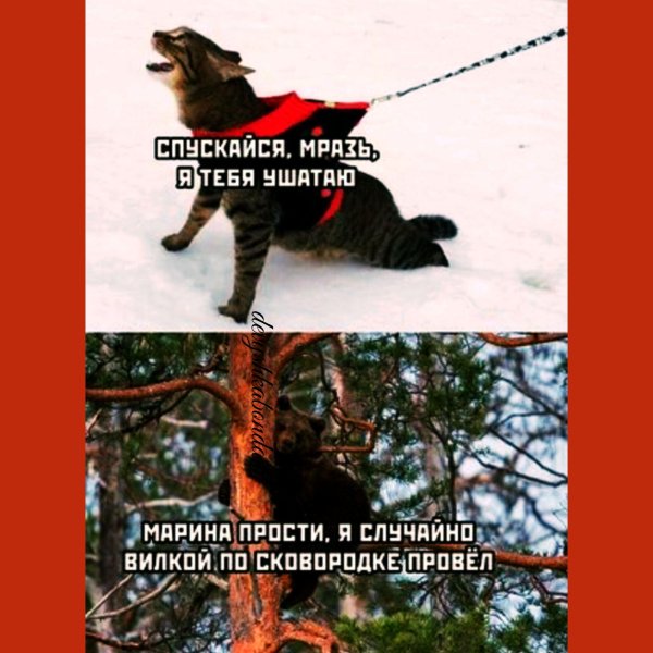 2 января