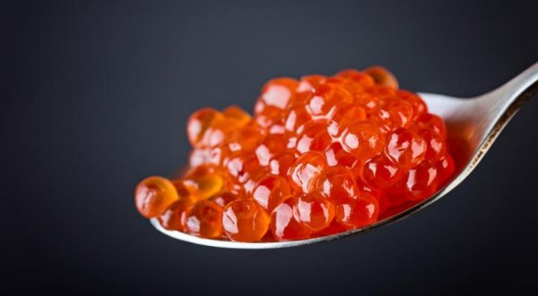 пищевая ценность красной икры