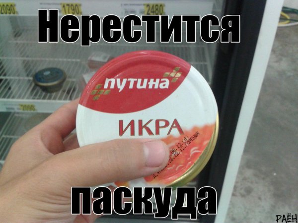 фирма икры путина