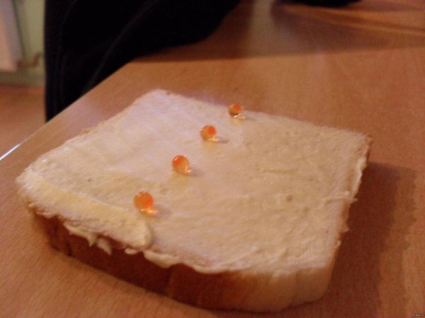 смешные бутерброды