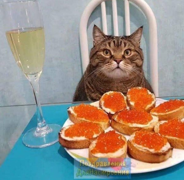 бутер с икрой