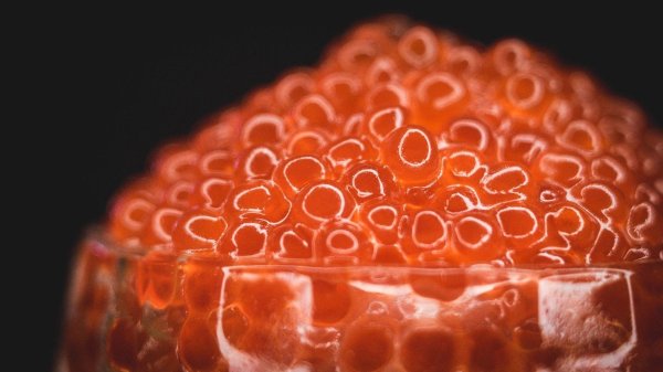 рыба с икрой