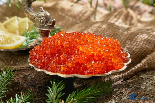 икра форели карелия