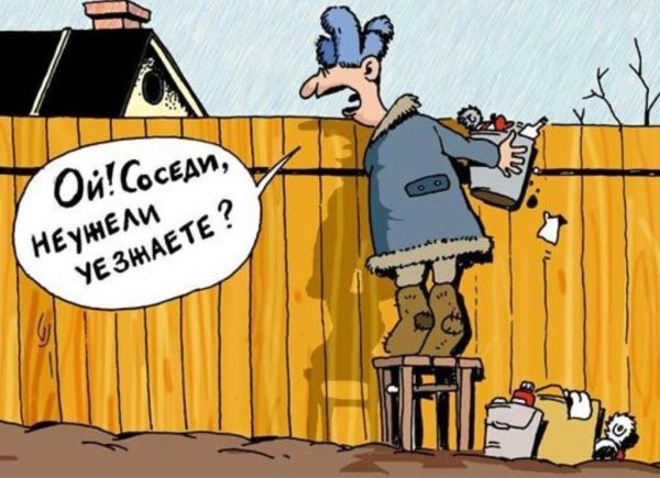 соседи карикатура