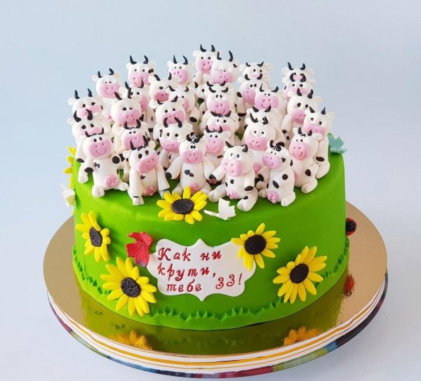 торт 33 корове
