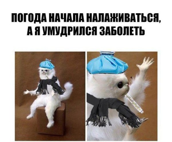 заболел прикол