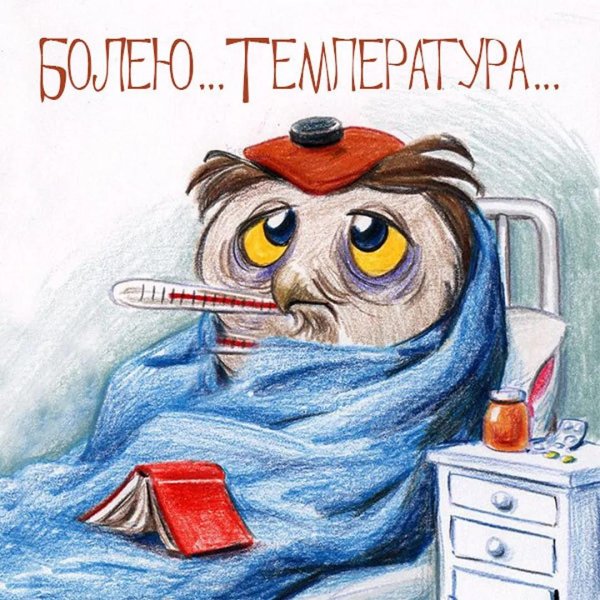 сова сонная