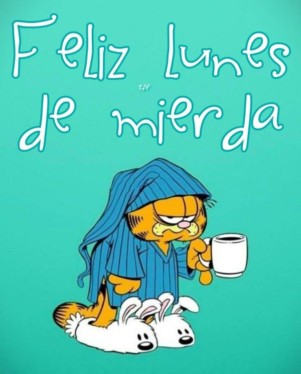garfield cat