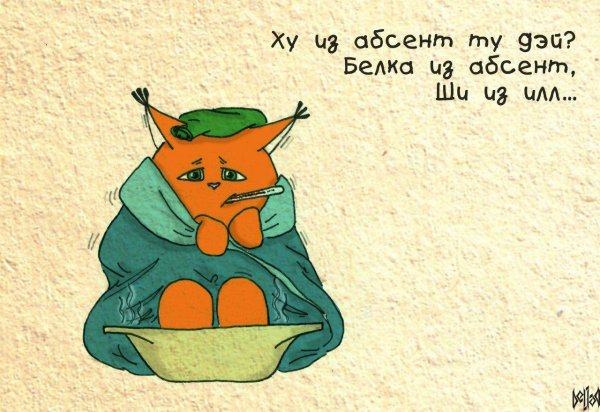 белочка ши