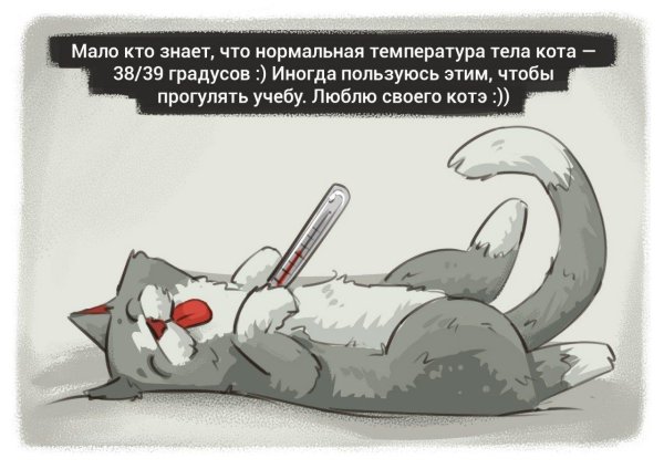 болеющий котик