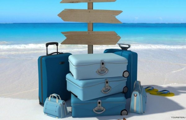 красивые чемоданы