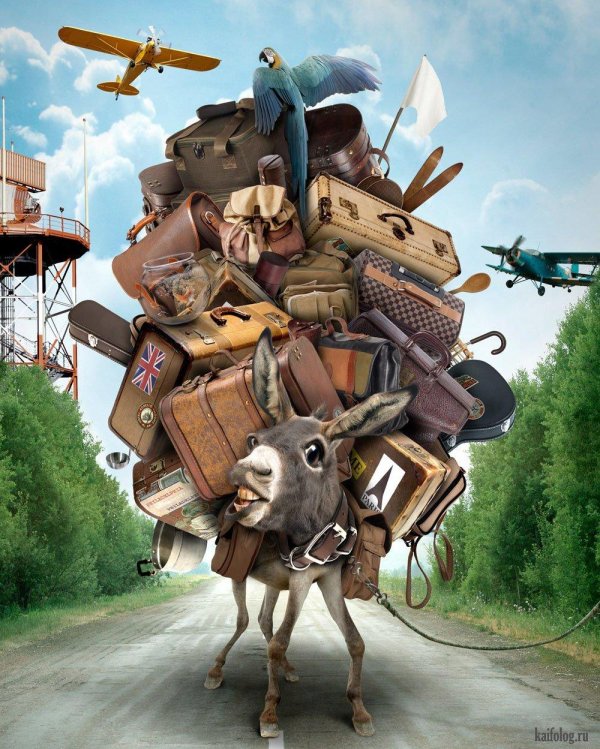 смешные иллюстрации