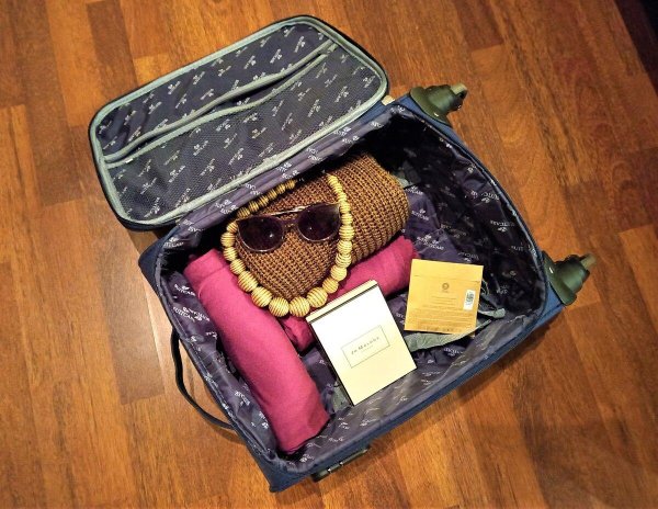 органайзер для чемодана