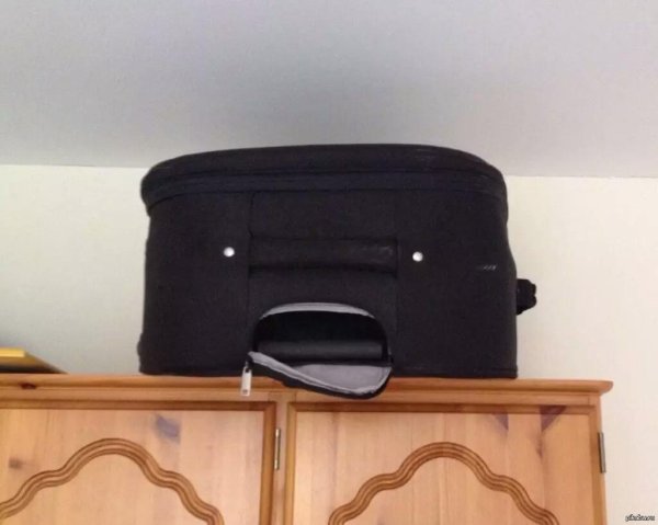 прикольные чемоданы