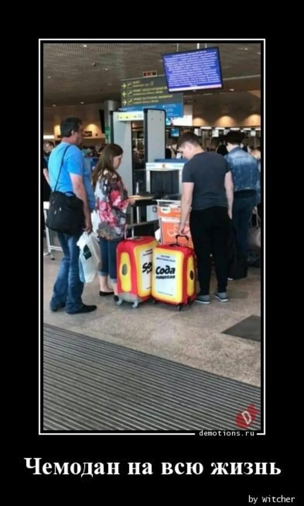 прикольные чемоданы