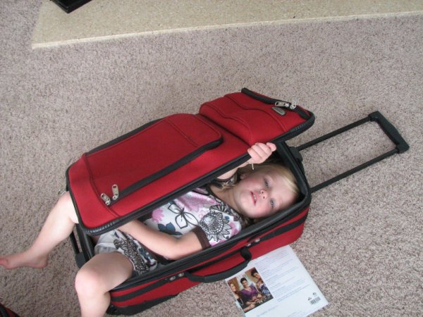 прикольные чемоданы