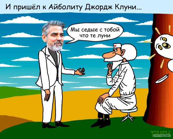 айболит доктор