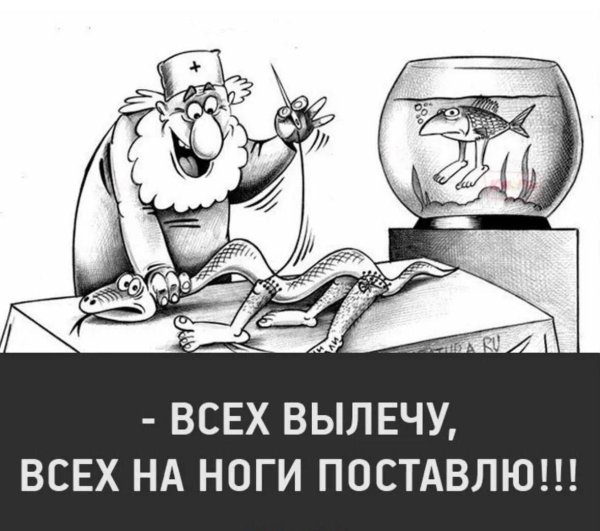 корсун карикатуры
