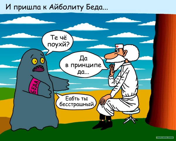 айболит доктор