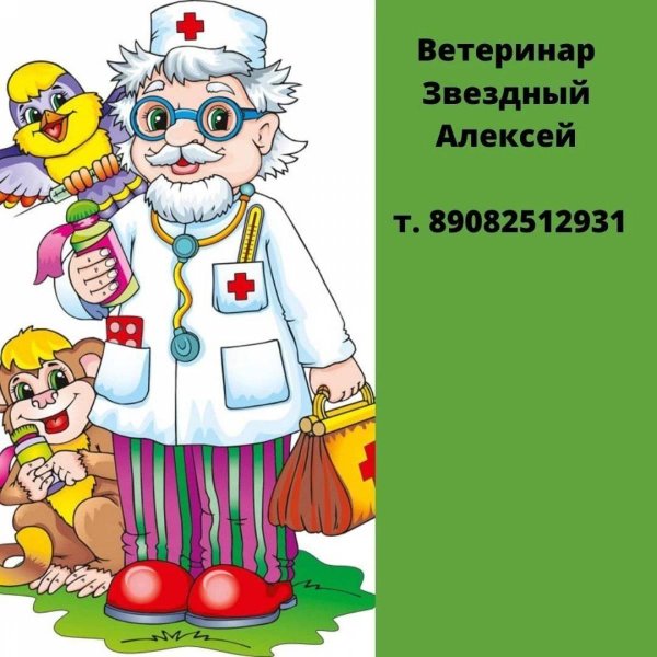 айболит доктор