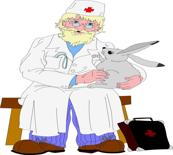 айболит герои