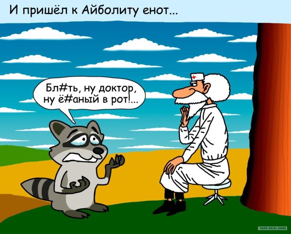 айболит доктор