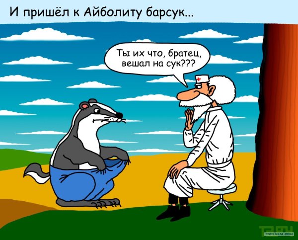 айболит доктор