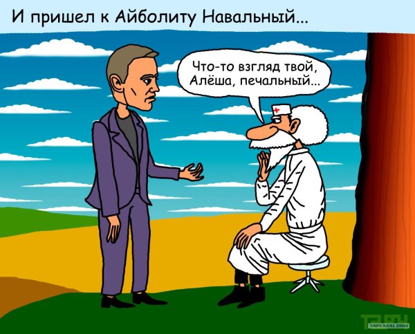 айболит доктор