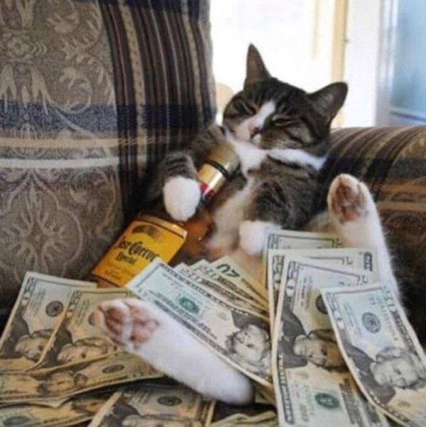 денежный кот