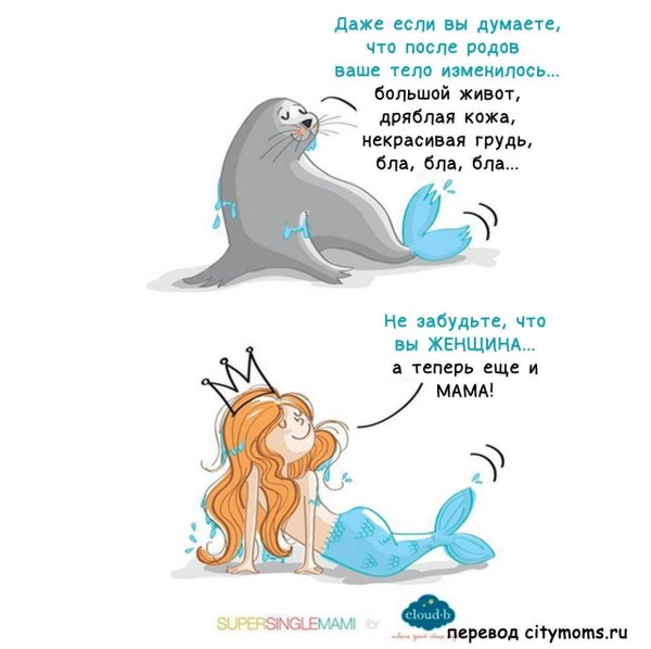 мультяшный тюлень