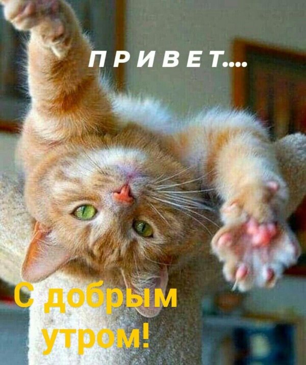 проснулись улыбнулись потянулись