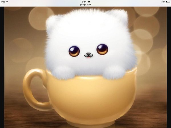 милое животное