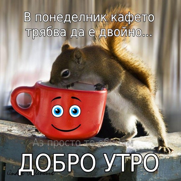 доброго утра с животными