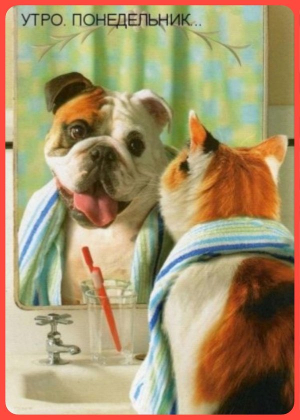 легкого понедельника открытки