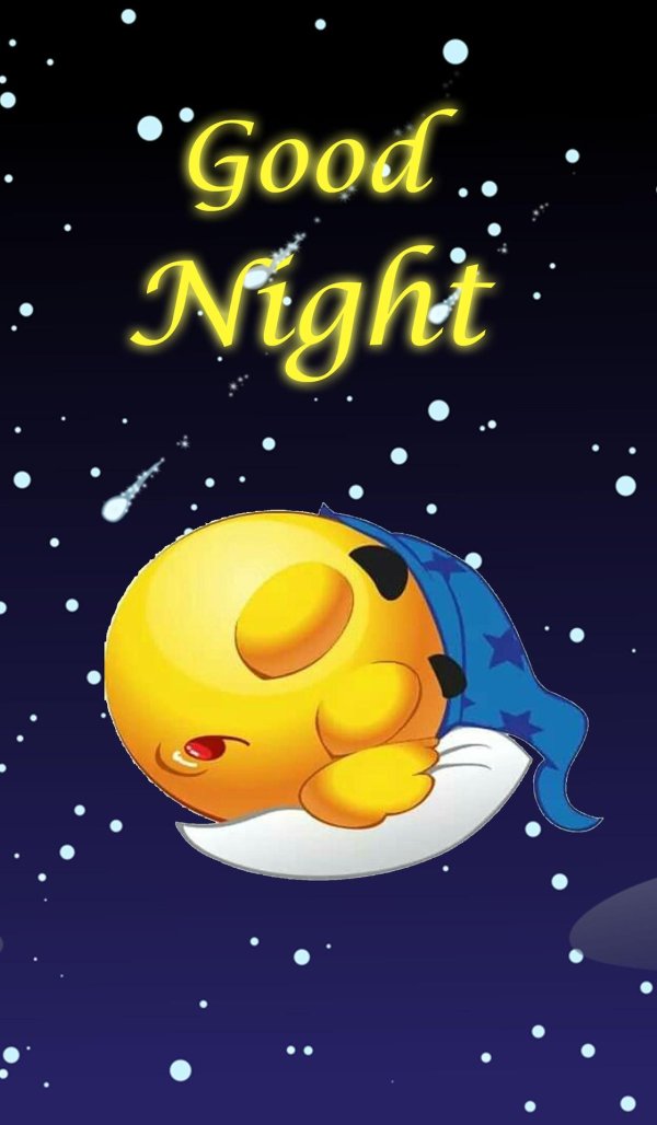 good night good night