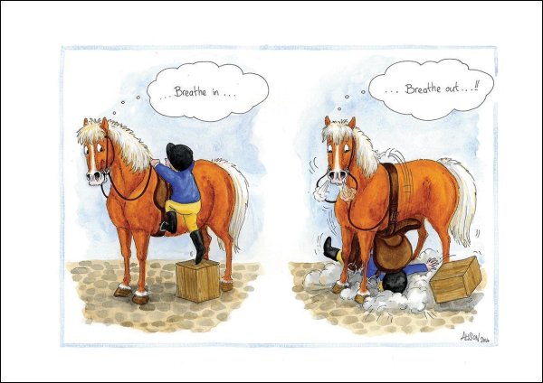 открытка с лошадью